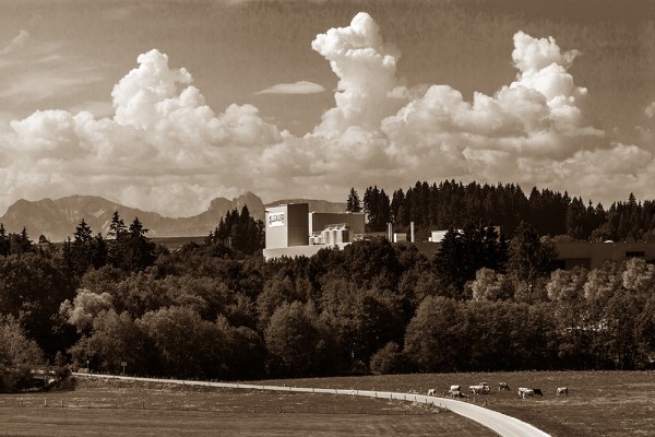 Einige Kühe grasen auf einer Wiese vor einem Industriekomplex, im Hintergrund Gebirge.