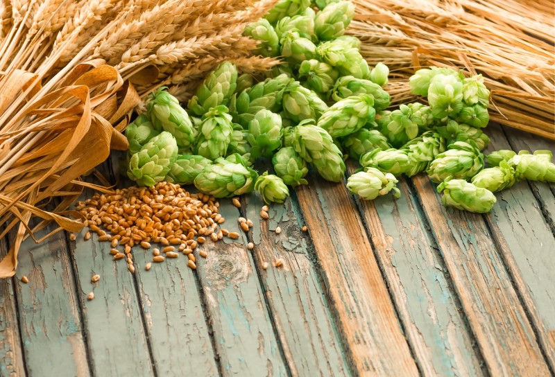 Hopfenzapfen, Weizenähren und Gerstenkörner liegen auf altem Holztisch.