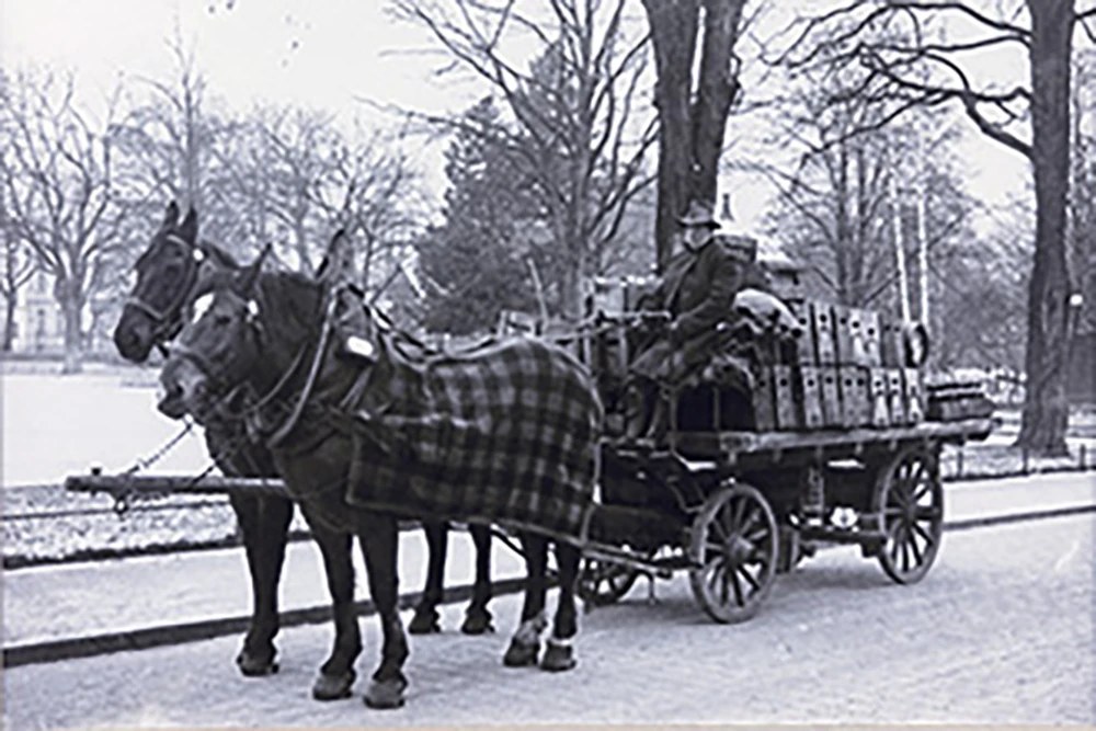 Zwei Pferde ziehen einen mit Kisten beladenen Wagen durch eine schneebedeckte Straße.