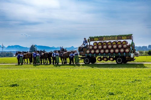 Ein Wagen mit vielen Bierfässern wird von Pferden über eine Wiese gezogen, Menschen in traditioneller Kleidung begleiten ihn.